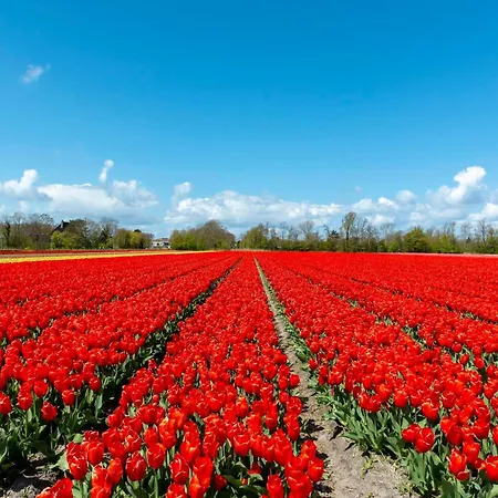 Modern Coastal Escape * Sint Maartensvlotbrug